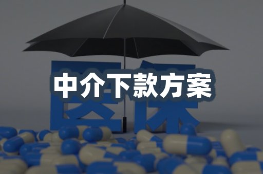 中介下款方案